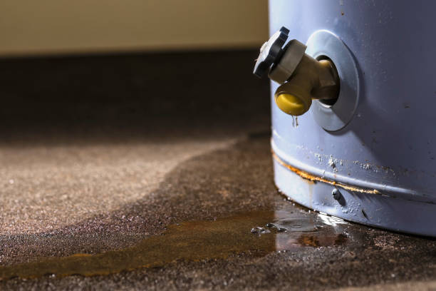 Best 24/7 water damage repair  in El Segundo, CA