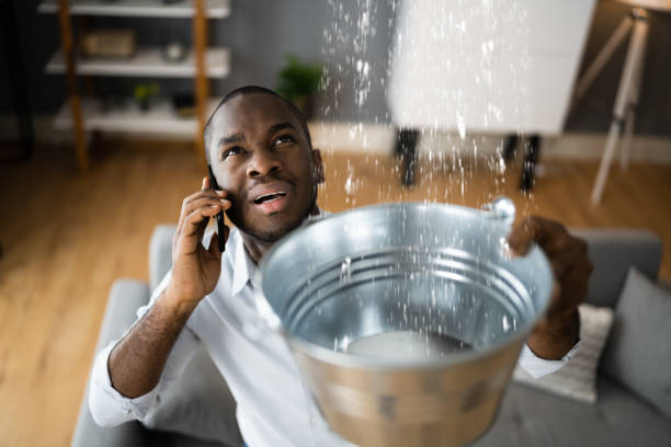 Best Carpet water damage restoration  in El Segundo, CA