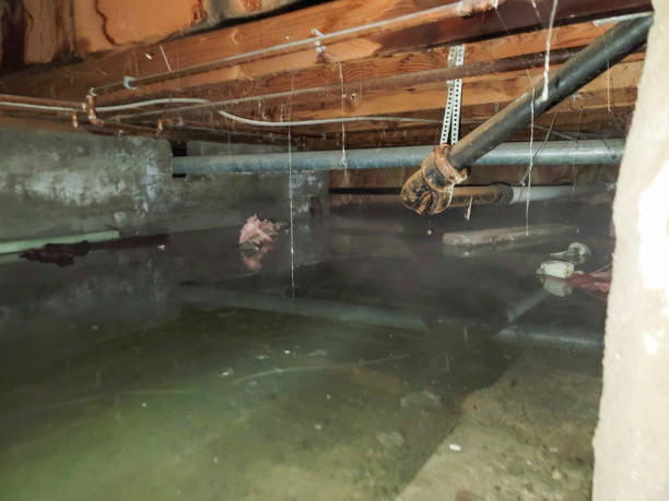  El Segundo, CA Water damage restoration Pros