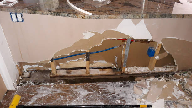 Best Water damage restoration mold remediation  in El Segundo, CA