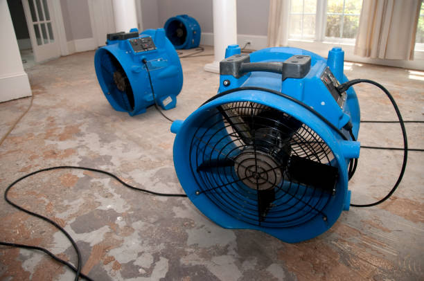 Professional Water damage restoration in El Segundo, CA