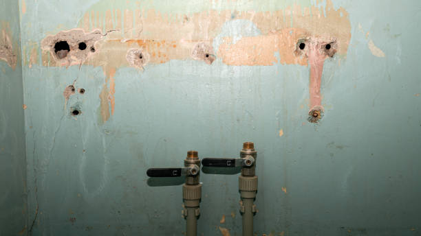  El Segundo, CA Water damage restoration Pros