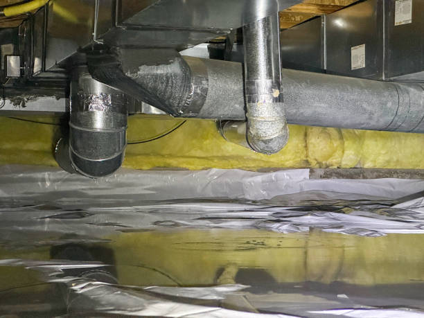 Best Water damage restoration cost  in El Segundo, CA