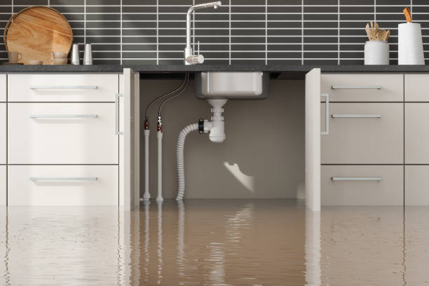Carpet water damage restoration in El Segundo, CA