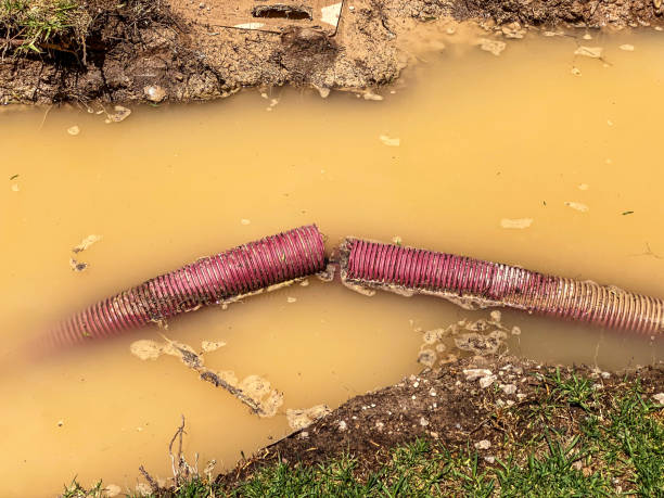 Best Water damage restoration insurance claims  in El Segundo, CA
