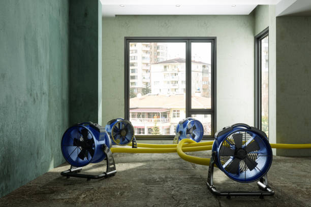 Best Water damage restoration near me  in El Segundo, CA